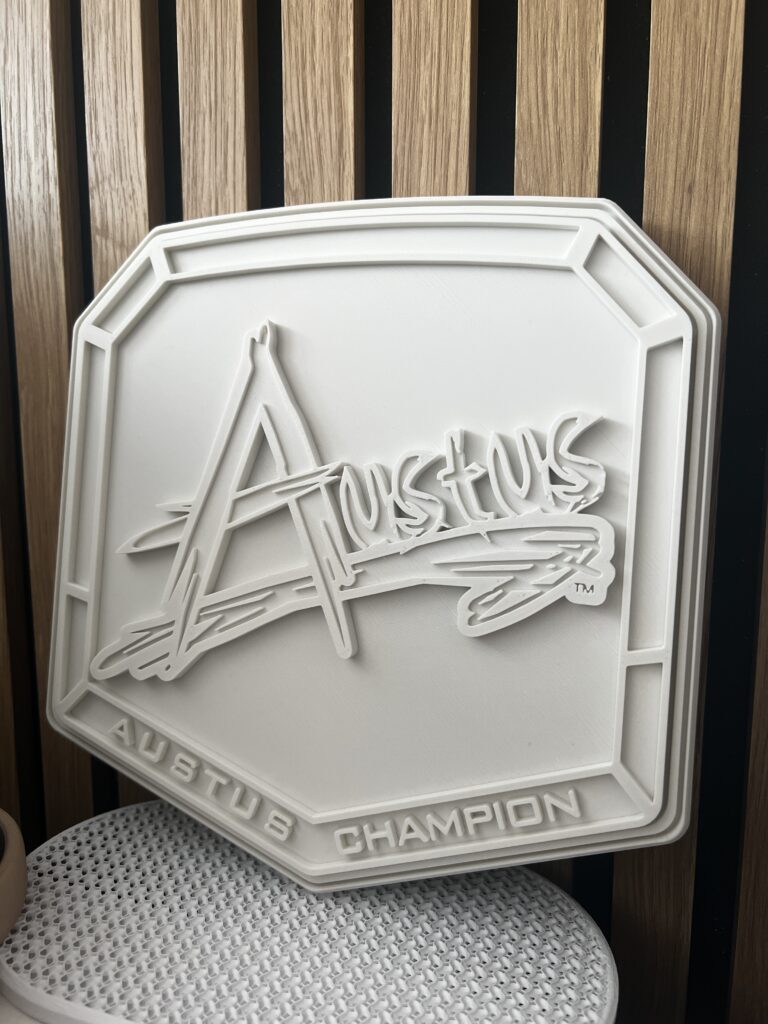 Medalid ja karikad Valge 3D-prinditud kaheksanurkne reljeefne auhinnatahvel kirjaga Austus Champion